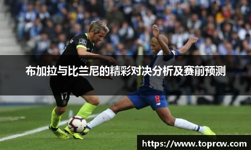 中欧体育