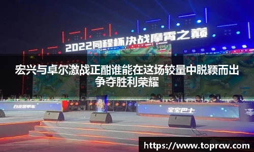 zoty中欧